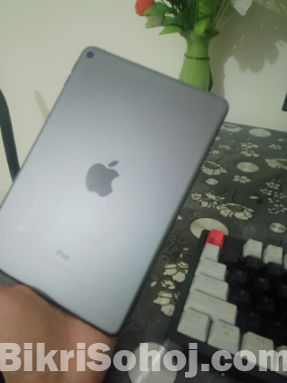 I pad mini 5
